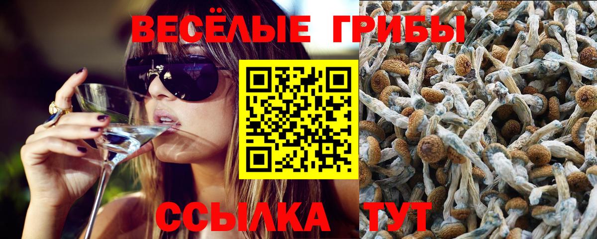 Псилоцибиновые грибы MAGIC MUSHROOMS Карпинск