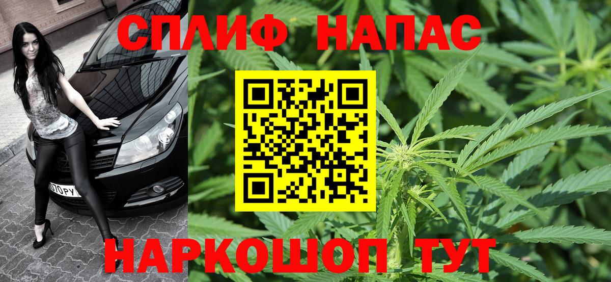 Конопля планчик  Марихуана планчик  Вход с VPN  Канабис план  Карпинск  Канабис планчик 